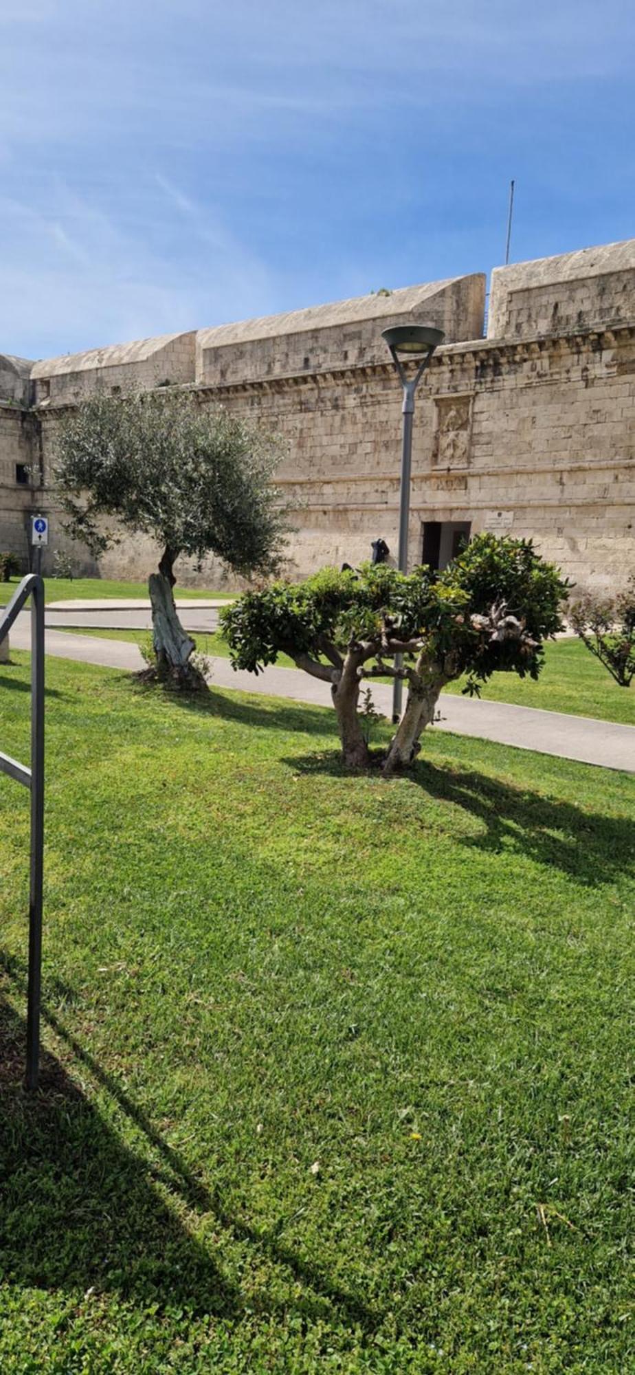 Bed and Breakfast Md House Civitavecchia Zewnętrze zdjęcie